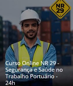 Curso Online NR 29 - Segurança e Saúde no Trabalho Portuário - 24h