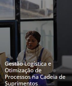 Gestão Logística e Otimização de Processos na Cadeia de Suprimentos