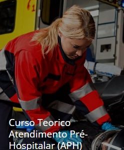 Gestão Logística e Otimização de Processos na Cadeia de Suprimentos